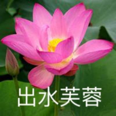 星际谜途游戏下载